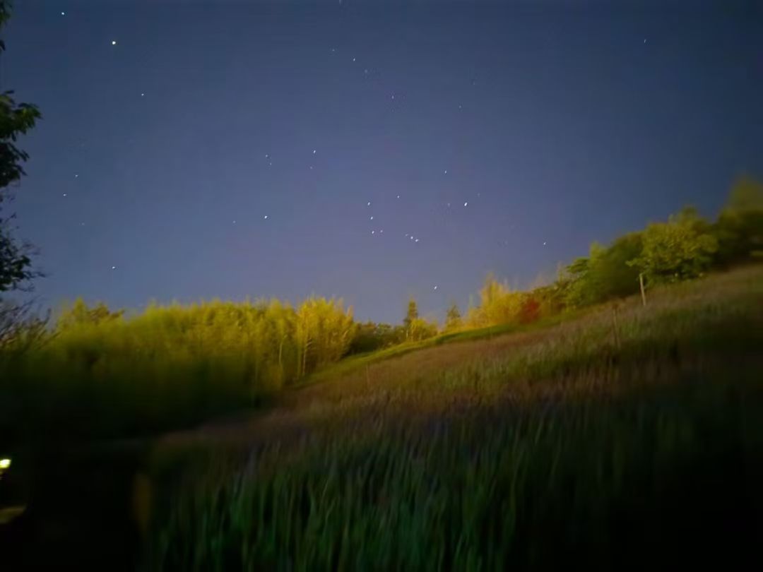 黑夜亦是黎明